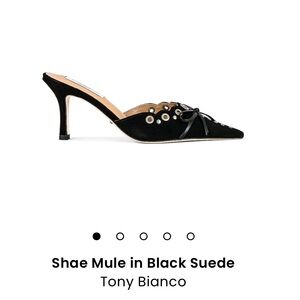 Tony Bianco Shae Mule heel